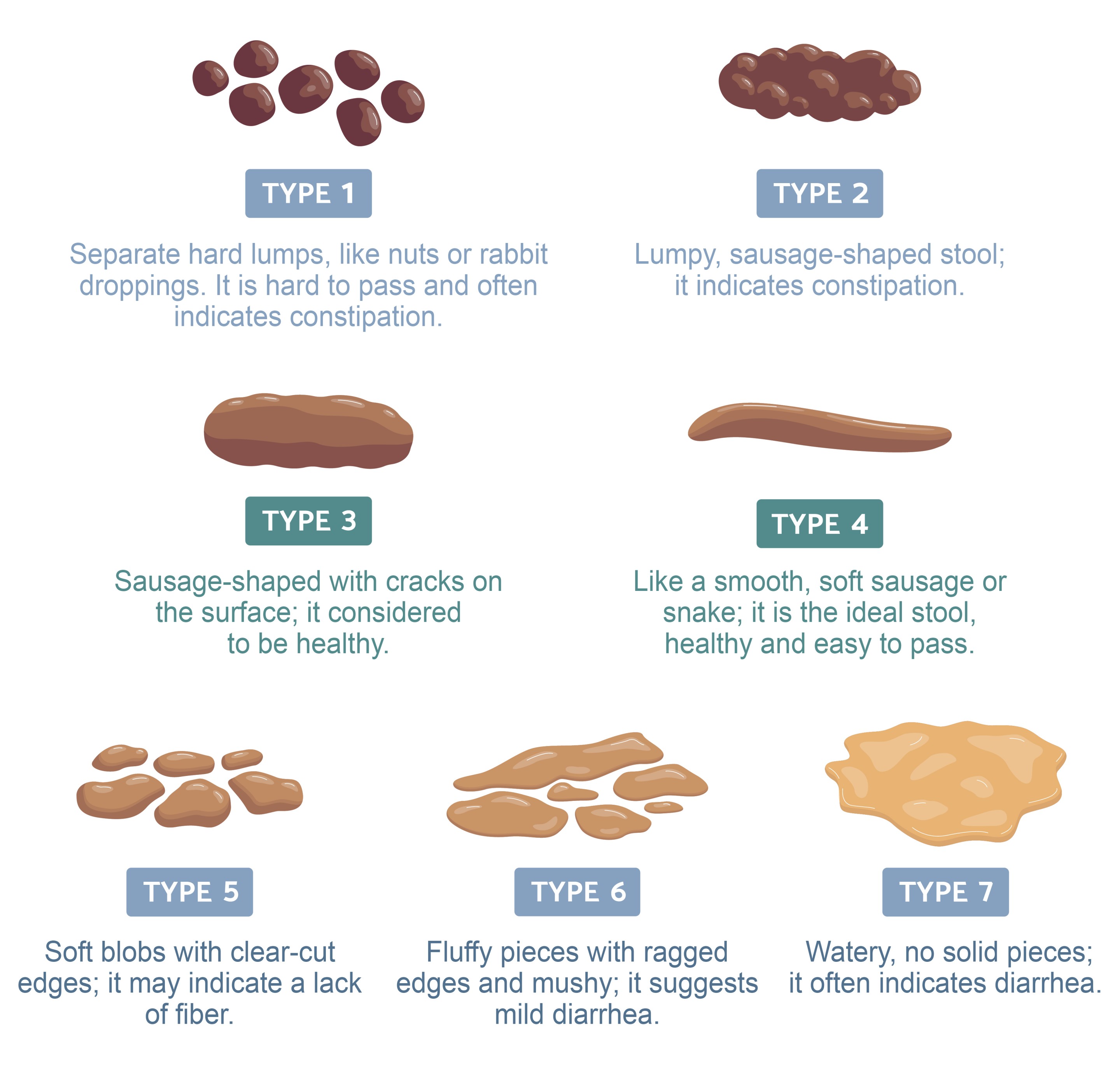 Stool Health Indicators